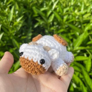 (Category: ) located in . Submitted by strawberriucrochets (Listing ID 1168152932, Image 1). Description: .