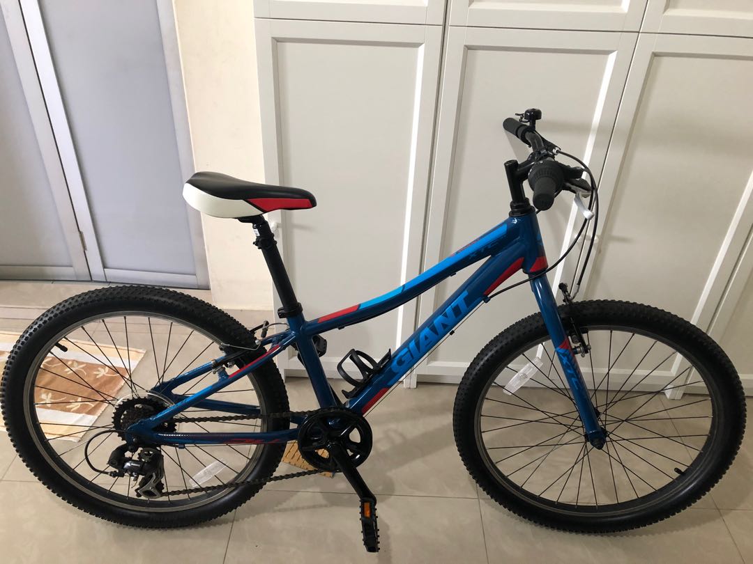 Giant xtc 24 inch online