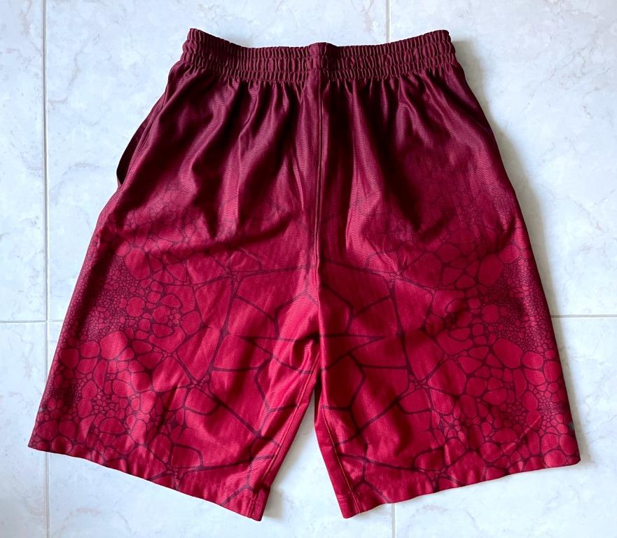Lebron sales tamed shorts