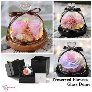 Preserved Flower Glass Dome Rose Carnation - Clear Display Jar LED Fairy Lights - Best Wedding Anniversary Birthday Gift