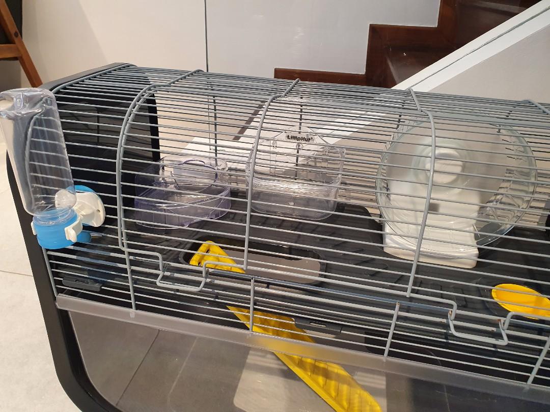 Cage clearance geneva savic