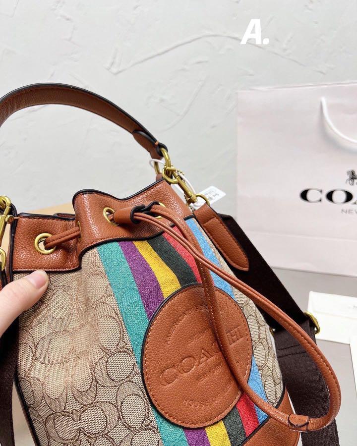 dempsey bucket bag coach