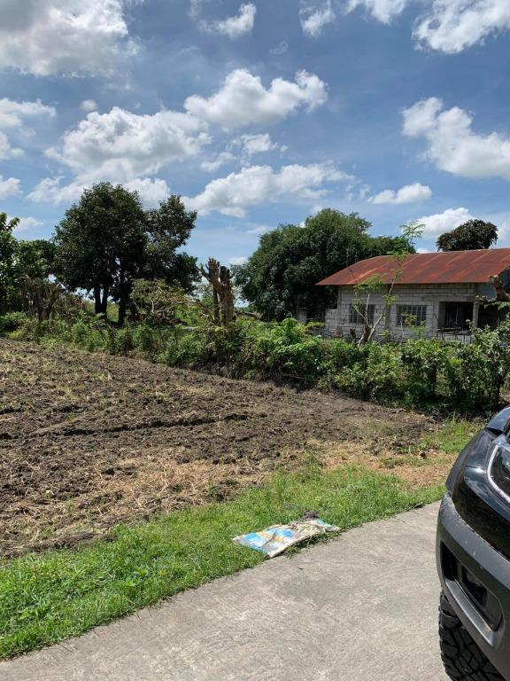 Farm Lot in Arayat, Pampanga DIRECT BUYERS ONLY PLEASE!, Property, For Sale, Lot on Carousell