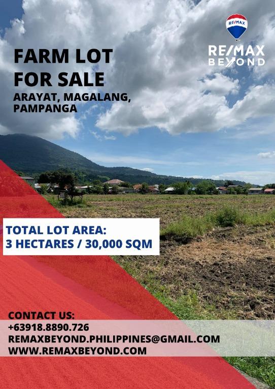 Farm Lot in Arayat, Pampanga DIRECT BUYERS ONLY PLEASE!, Property