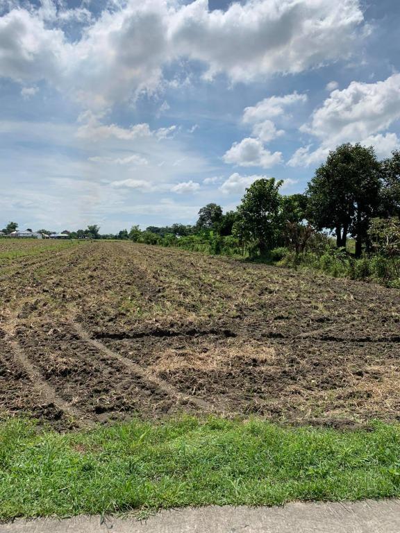 Farm Lot in Arayat, Pampanga DIRECT BUYERS ONLY PLEASE!, Property