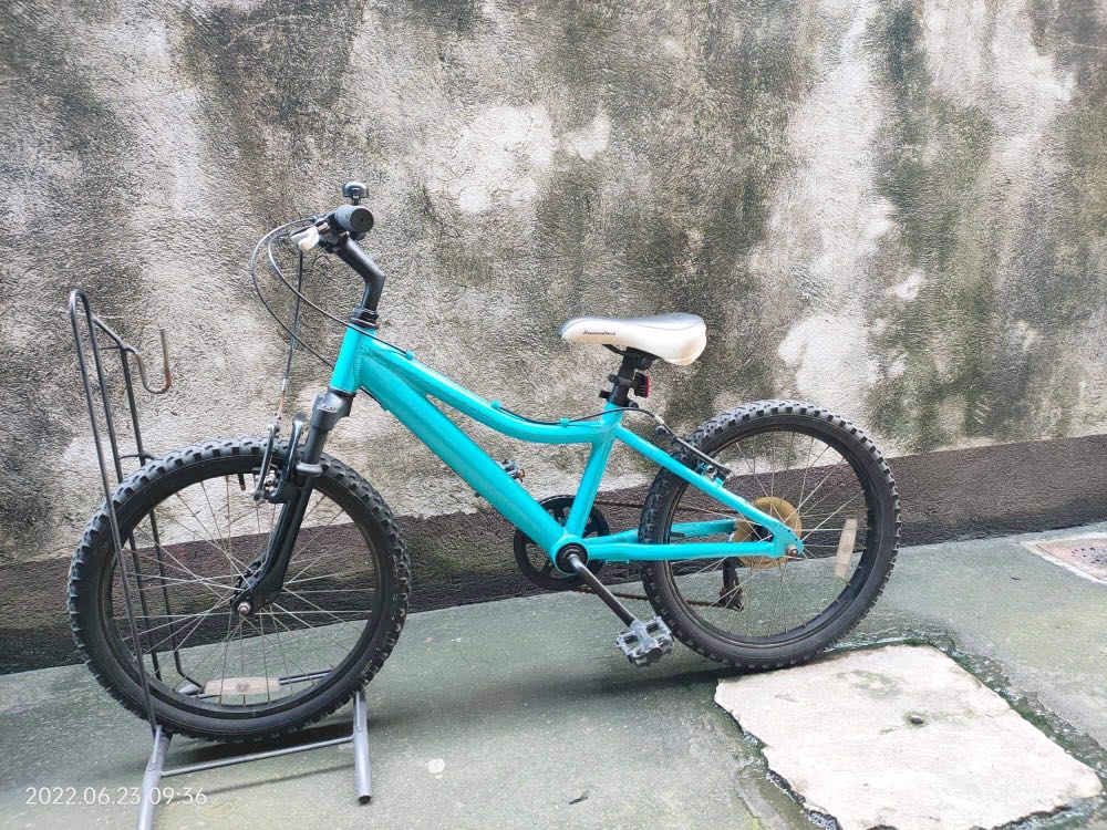 Diamondback lustre 20 deals