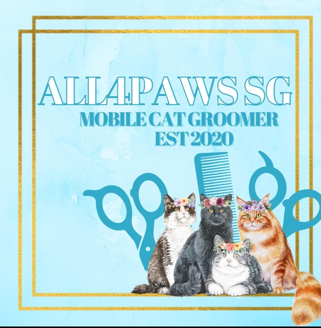 House call cat sales grooming near me