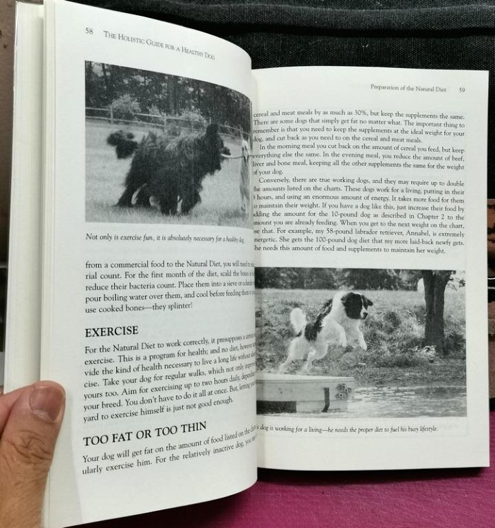 Holistic guide for a on sale healthy dog
