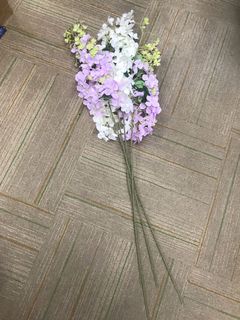（分類：）位於 。 由 wing_1103 提交（商品編號 1168467088，圖片 1）。簡介： 。