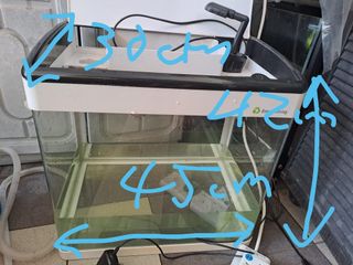 (Category: ) located in . Submitted by shrimp_keeper (Listing ID 1168502261, Image 1). Description: .