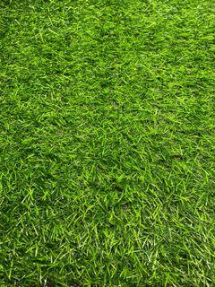 Artificial Grass or Synthetic Grass