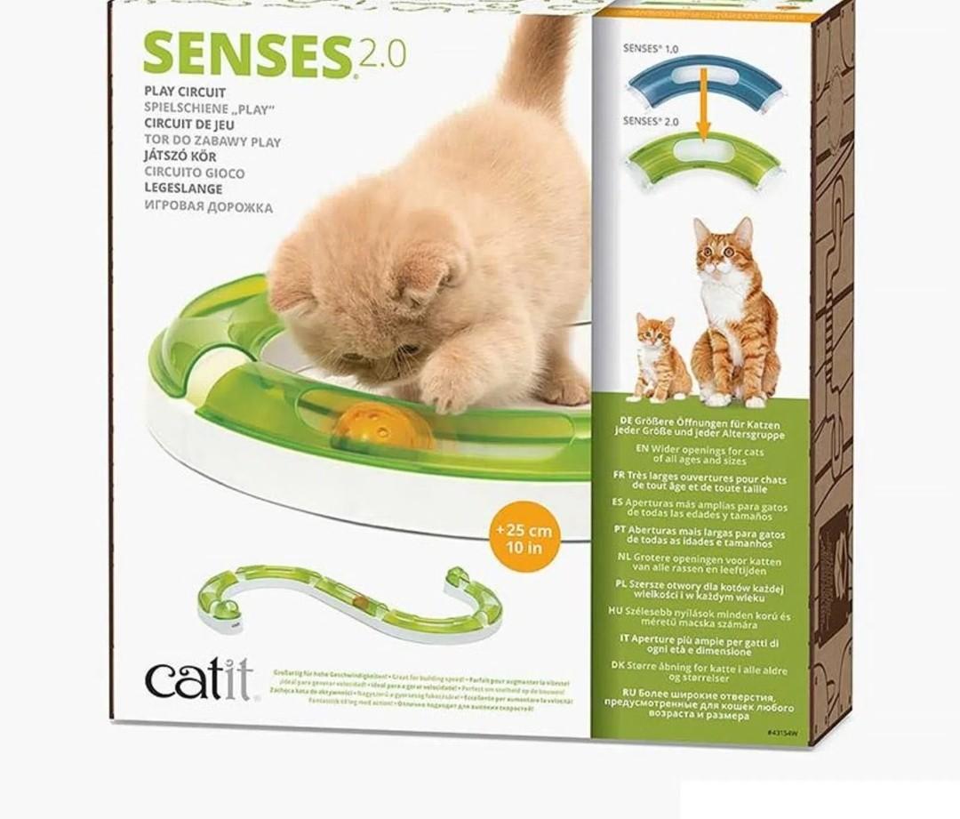 play circuit cat toy