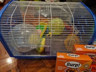 (Category: ) located in . Submitted by kwlee1 (Listing ID 1168501110, Image 1). Description: .