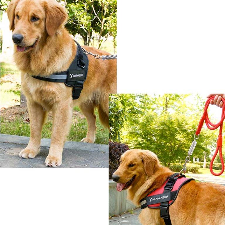 Moemoebear Dog Harness Pet Adjustable Collar Harness Padded Padding
