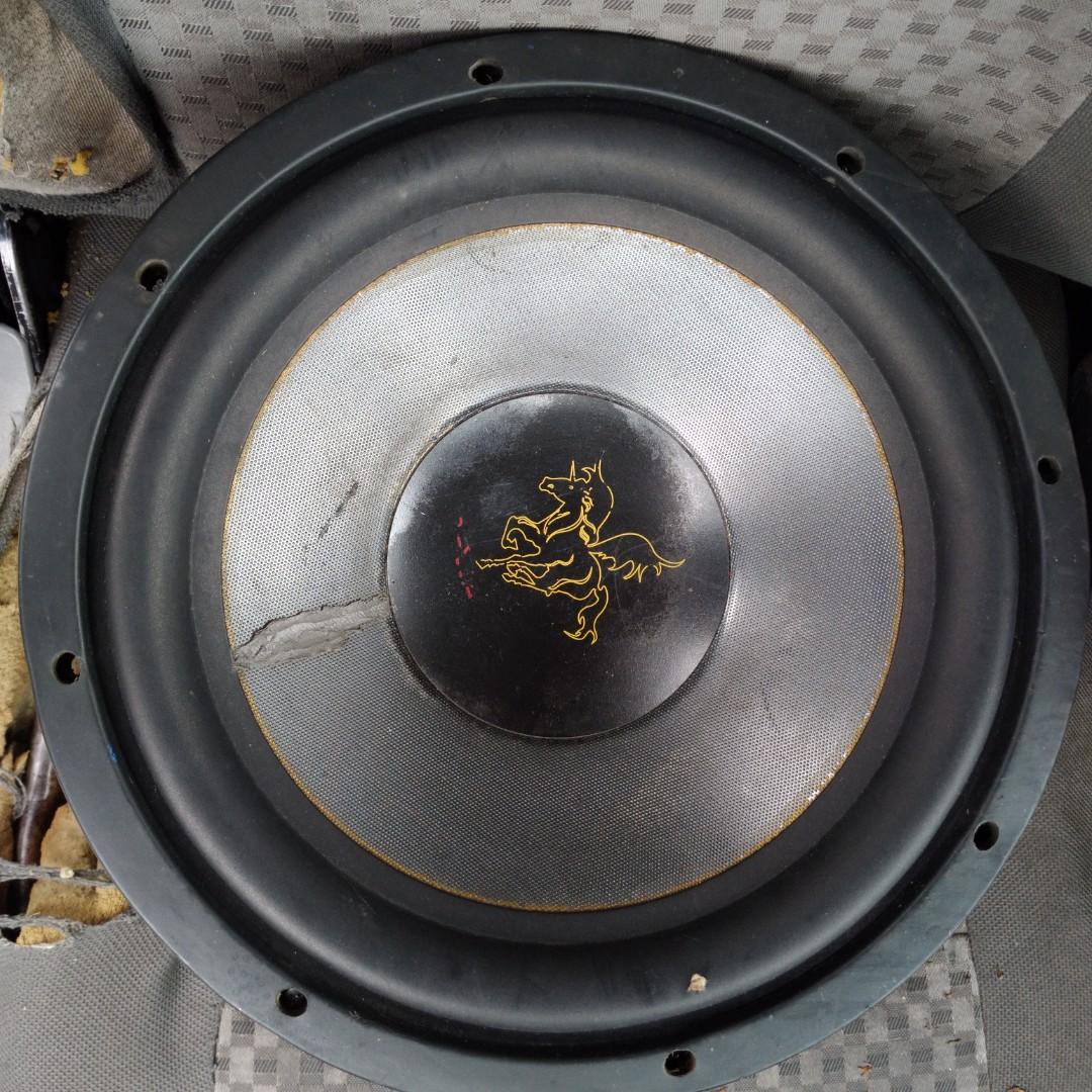 Speaker pegasus 12 deals inch