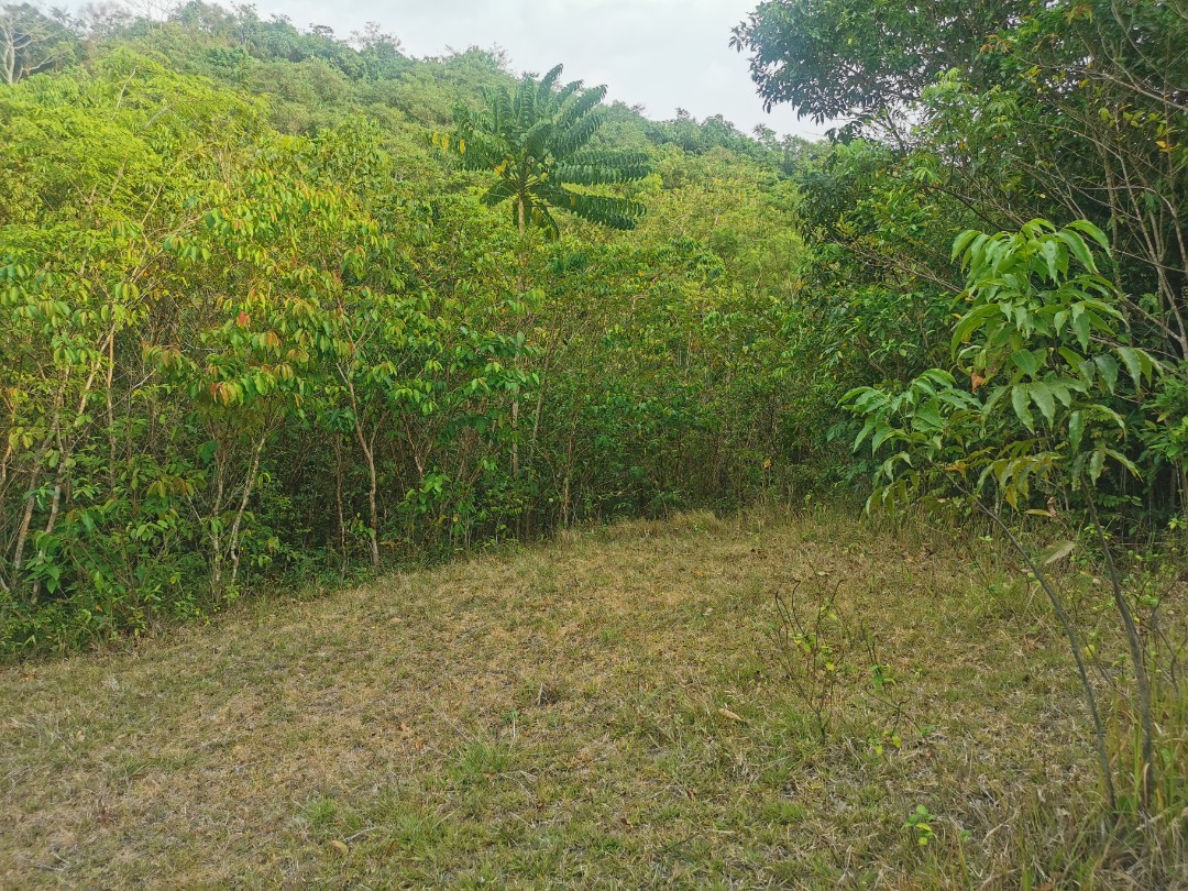 (Category: ) located in . Submitted by atty.ey (Listing ID 1168433259, Image 1). Description: .