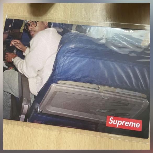supreme poster julia fox