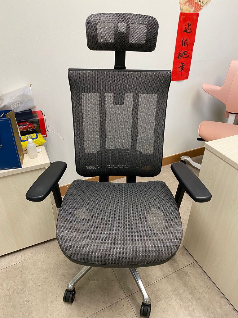 Torch iris gold 網椅 Office Chair 辨公室椅, 傢俬＆家居, 傢俬, 椅子 Carousell