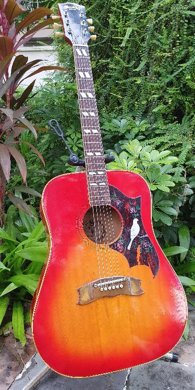 Kiso 2025 suzuki hummingbird