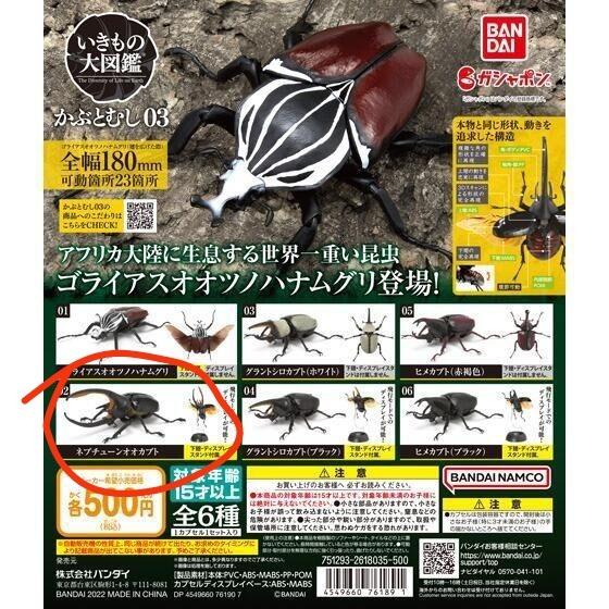 昆蟲大圖鑑鍬形蟲甲蟲獨角仙扭蛋03 Bandai Capsule Toy Gashapon 02 興趣及遊戲 玩具 遊戲類 Carousell