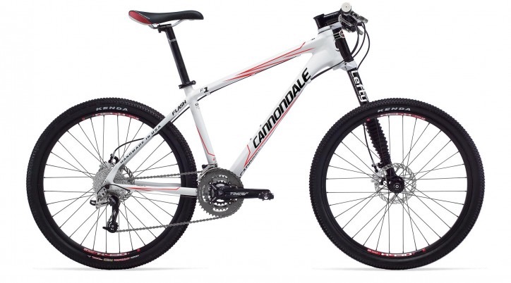 Cannondale F1 Lefty M size 26er very good condition Sports