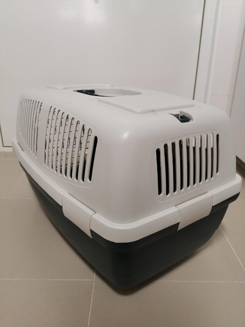 Cat carrier, Pet Supplies, Homes & Other Pet Accessories on Carousell