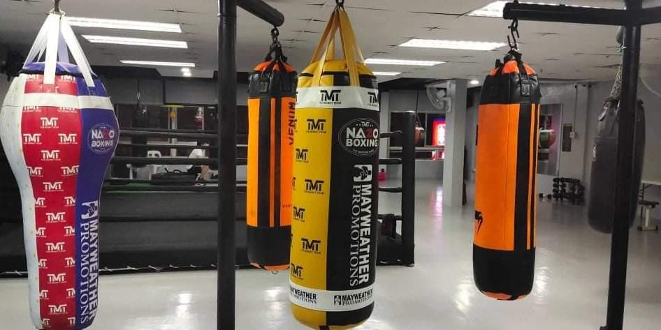 Tmt punching bag discount