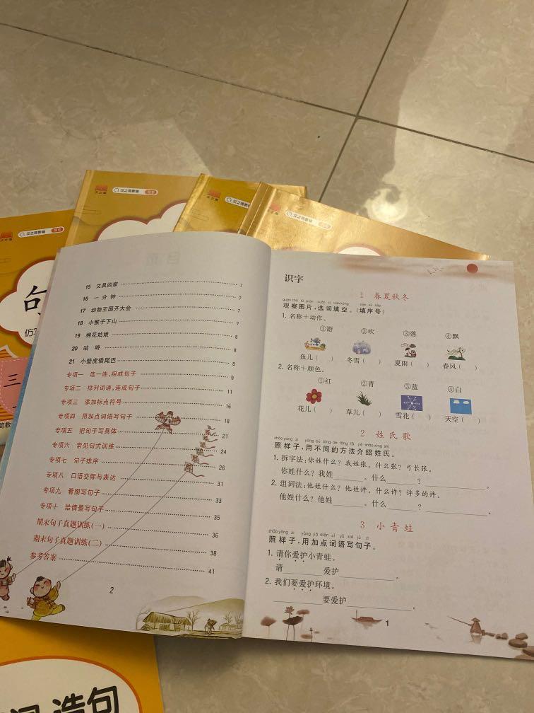 Chinese language exercise book 人教版小学语文练习 Hobbies Toys Books
