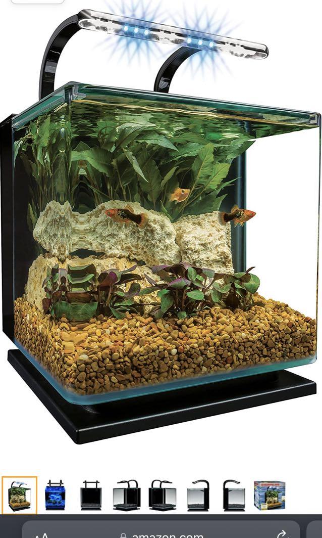 German tetra color fish tank small aquarium back filter original ...