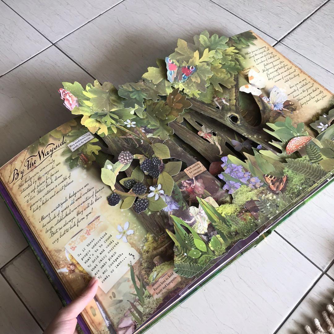 How To Find Flower Fairies Pop Up Book Hobbies Toys Books how-to-find-flower-fairies-pop-up-book-hobbies-toys-books