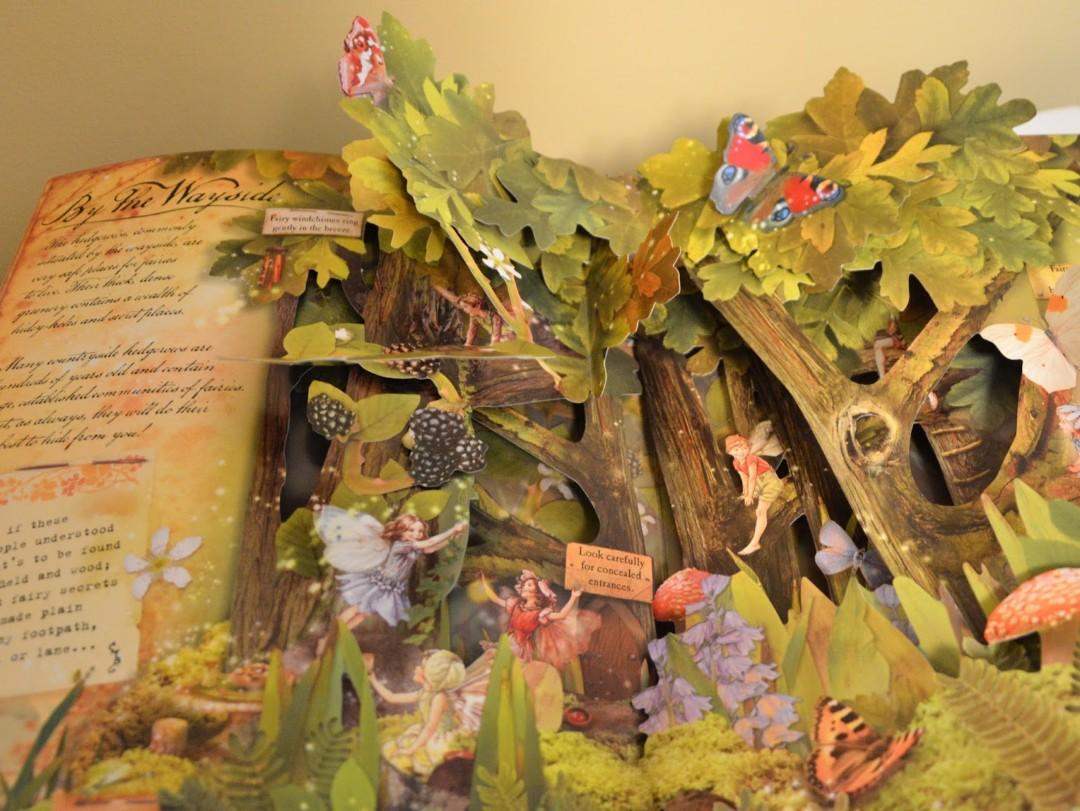 How To Find Flower Fairies Pop Up Book Hobbies Toys Books how-to-find-flower-fairies-pop-up-book-hobbies-toys-books