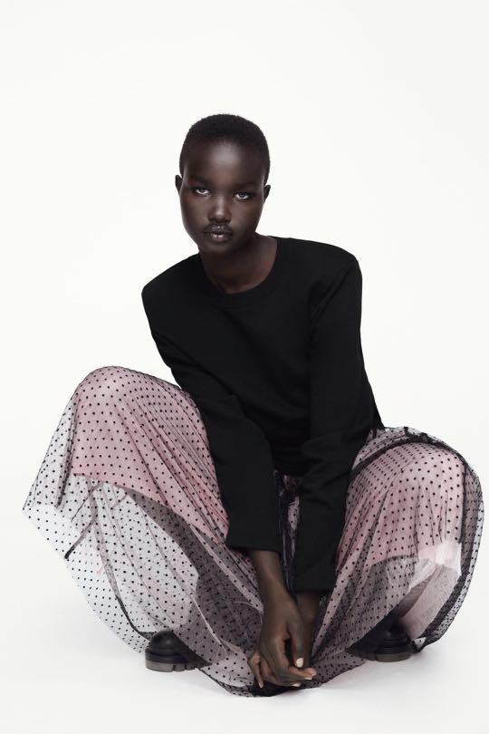 Plumetis tulle 2025 skirt zara