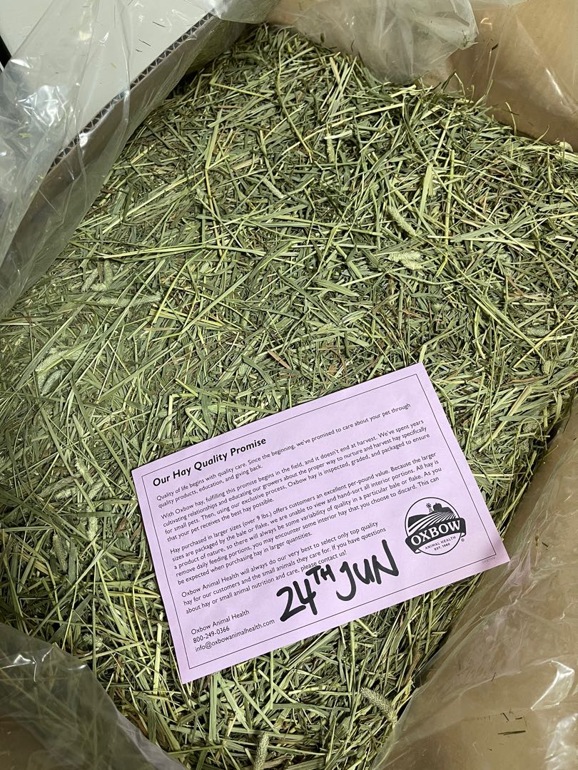 Oxbow Timothy hay for rabbit, chinchilla, hamster, guinea pig and small animals bedding, Pet