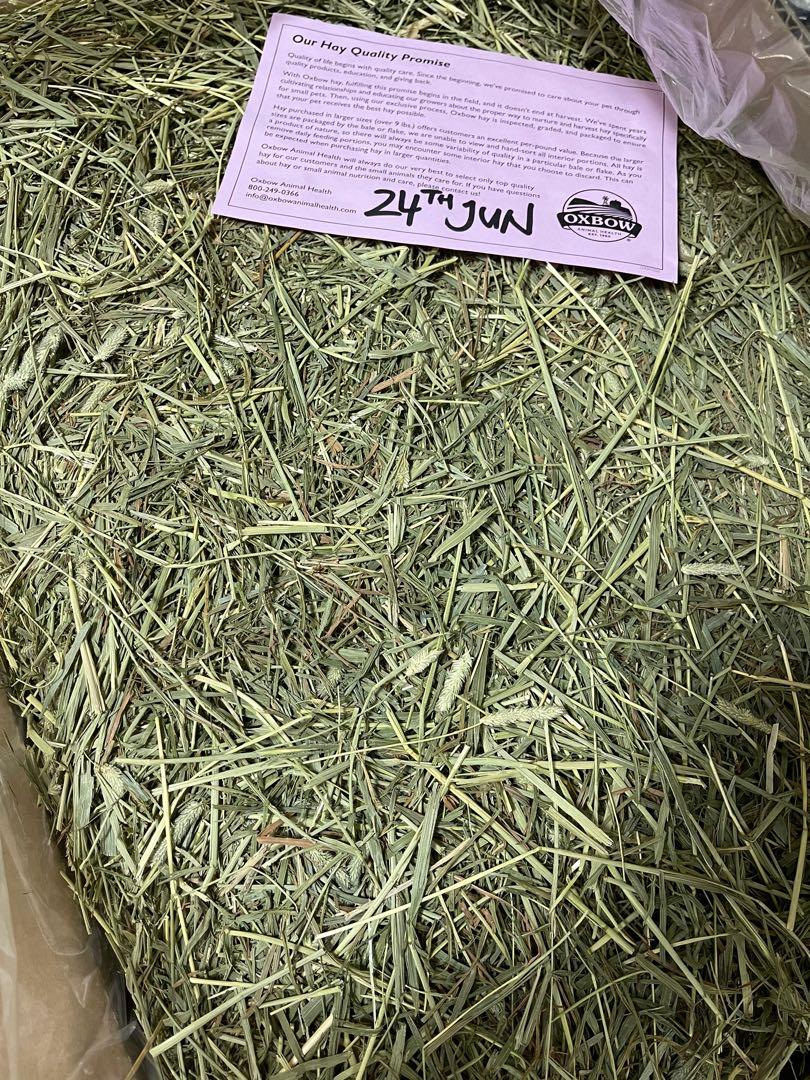Oxbow Timothy hay for rabbit, chinchilla, hamster, guinea pig and small