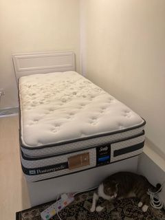 （分類：）位於 。 由 casdory 提交（商品編號 1168777046，圖片 1）。簡介： 。