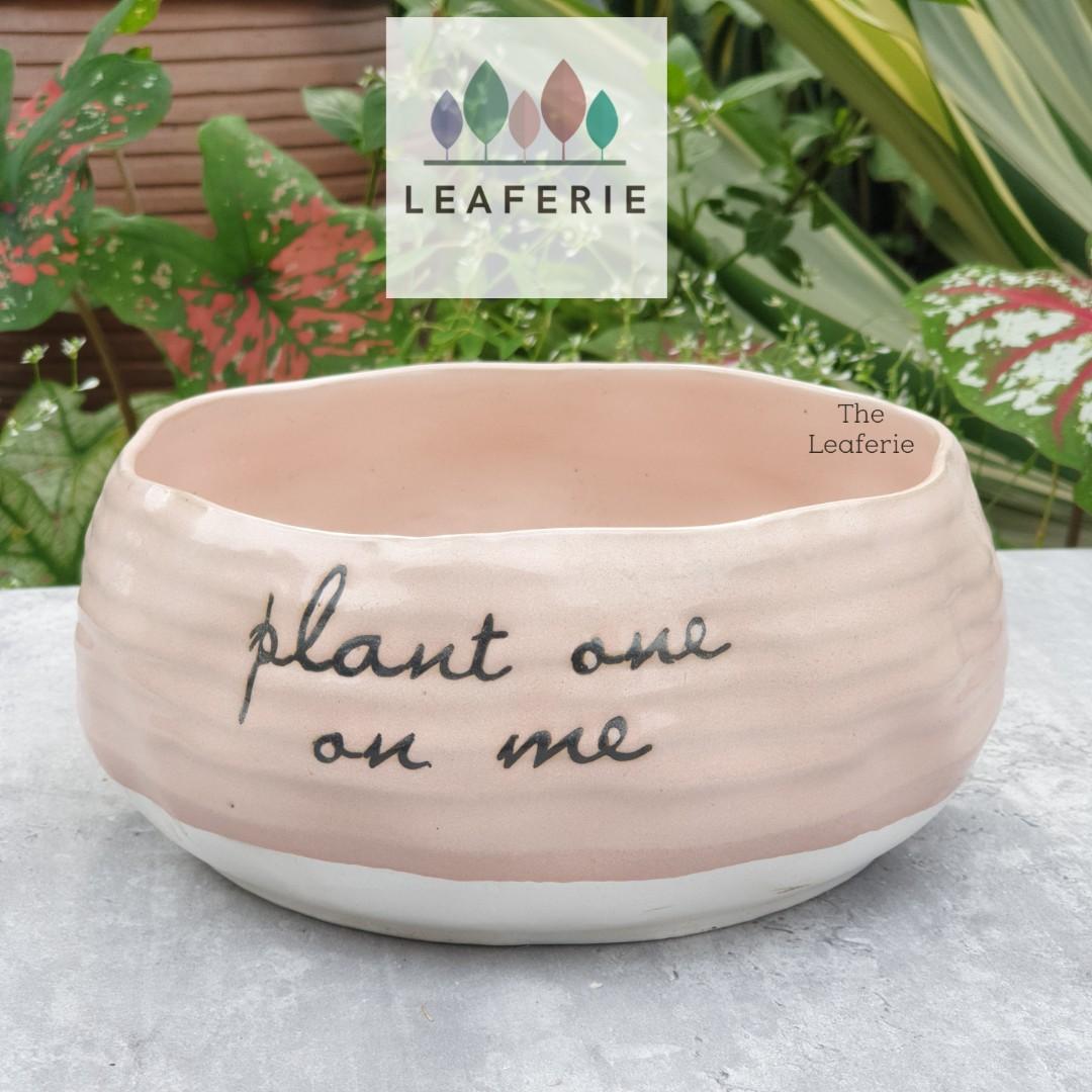 The Leaferie Pasha plant pot . Flowerpot . Ceramic planter