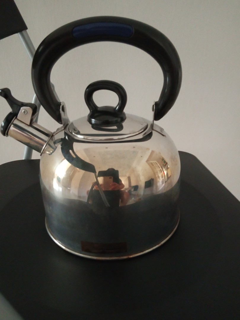 Zebra stainless steel kettle, TV & Home Appliances, Kitchen Appliances ...