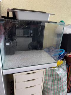 (Category: ) located in . Submitted by caroltsing (Listing ID 1168990061, Image 1). Description: .