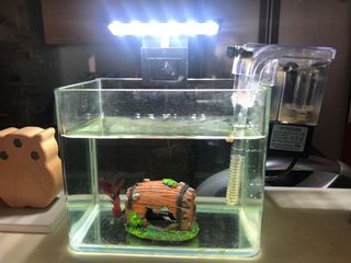 (Category: ) located in . Submitted by isabelle020 (Listing ID 1168860676, Image 1). Description: .