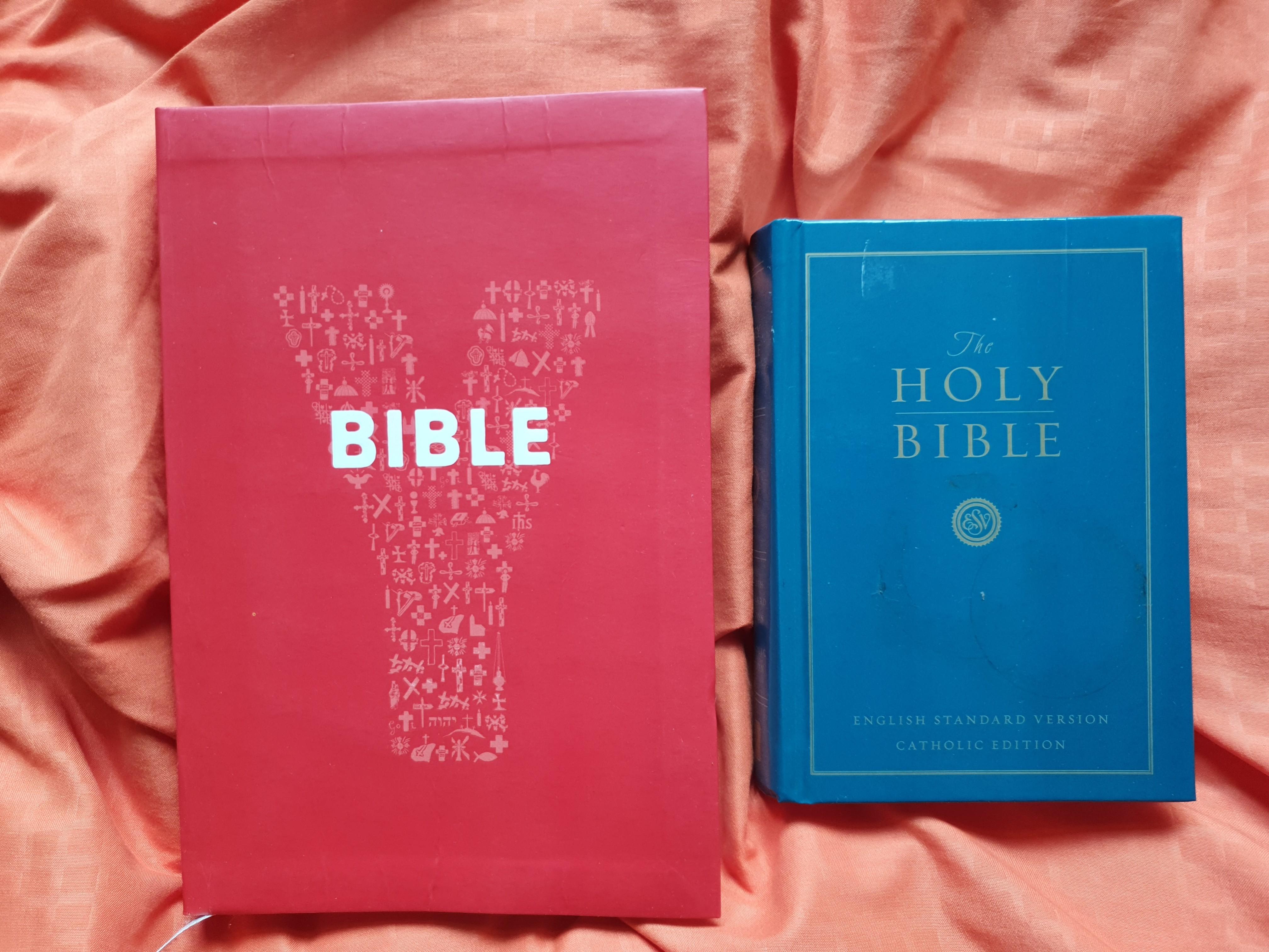 Bible (ESV Catholic Edition) & (Youth Bible), Hobbies & Toys, Books