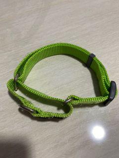 Dog collar