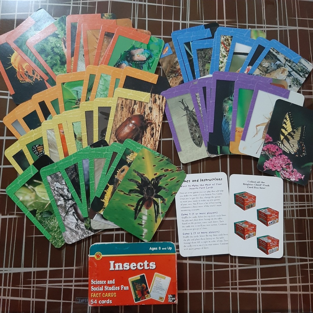 Fact cards Insects flash cards, Hobbies & Toys, Toys & Games on Carousell