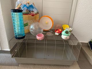 (Category: ) located in . Submitted by afcfergie (Listing ID 1168867732, Image 1). Description: .