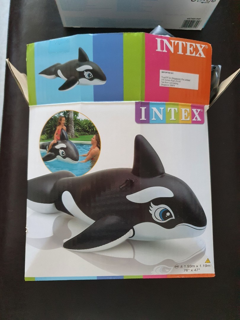 Intex pool ride on, Hobbies & Toys, Toys & Games on Carousell