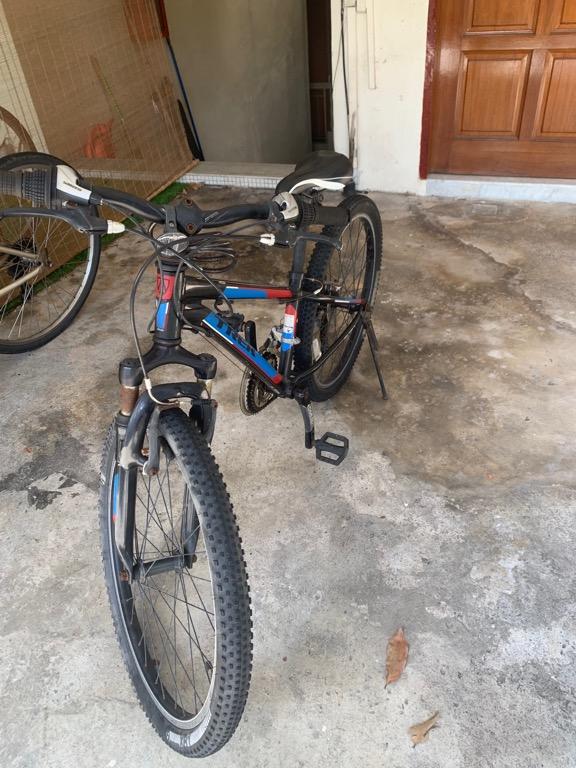 Trek 220 sales kids bike
