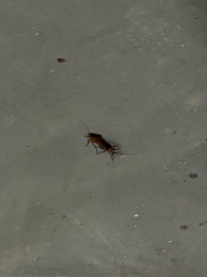 LG XBOOM Wireless Multi Room Audio System [ H3 ] NP834o, Audio