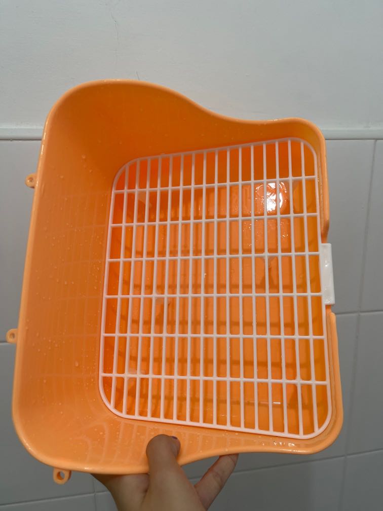 litter tray, Pet Supplies, Homes & Other Pet Accessories on Carousell