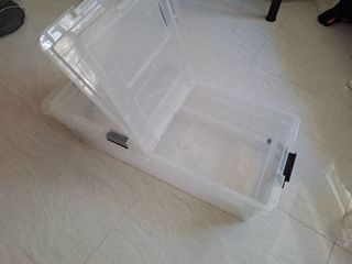 （分類：）位於 。 由 pheebspheebs 提交（商品編號 1168869636，圖片 1）。簡介： 。