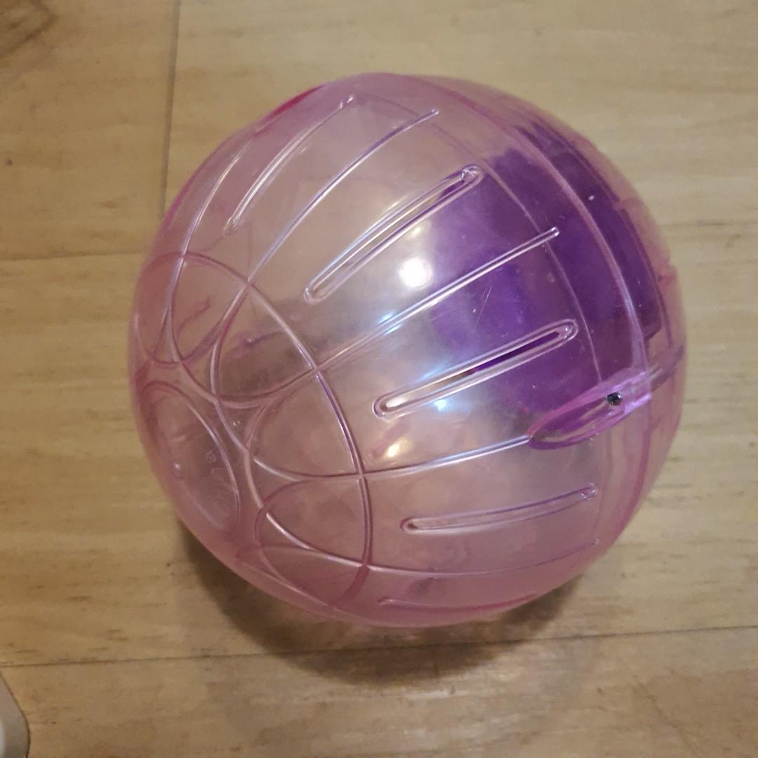 Plastic hamster ball clearance
