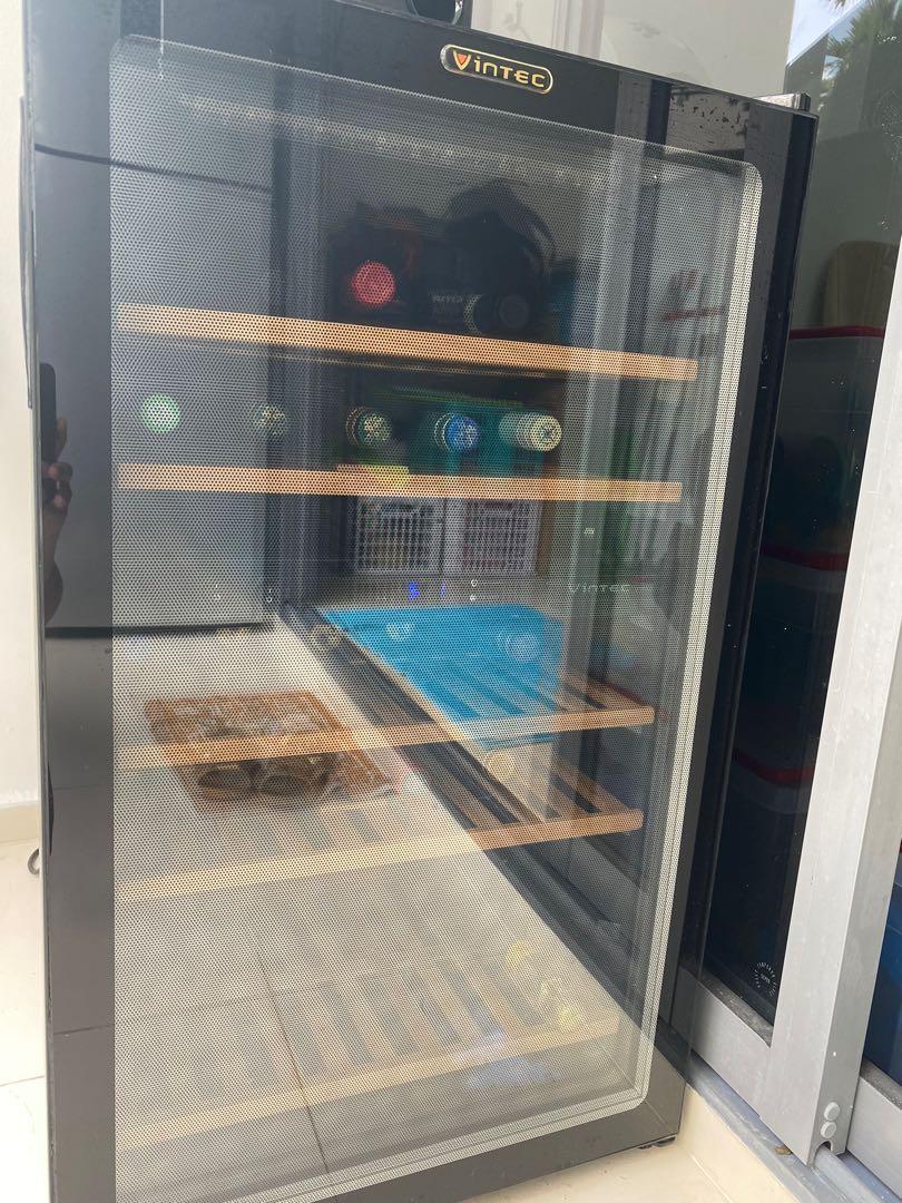 Vintec Dual Wine Fridge, TV & Home Appliances, Kitchen Appliances, Wine